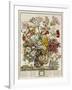 Hand Colored Engraving of Bouquet- October, 1730-Robert Furber-Framed Giclee Print