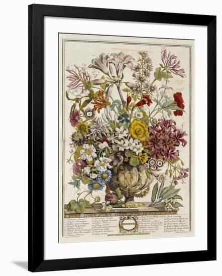 Hand Colored Engraving of Bouquet- October, 1730-Robert Furber-Framed Giclee Print