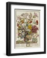 Hand Colored Engraving of Bouquet- October, 1730-Robert Furber-Framed Premium Giclee Print