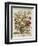 Hand Colored Engraving of Bouquet- October, 1730-Robert Furber-Framed Premium Giclee Print