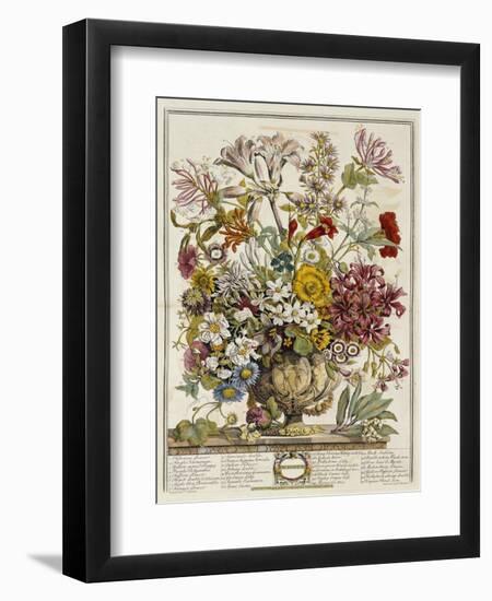 Hand Colored Engraving of Bouquet- October, 1730-Robert Furber-Framed Premium Giclee Print