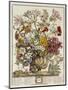 Hand Colored Engraving of Bouquet- October, 1730-Robert Furber-Mounted Premium Giclee Print