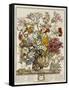 Hand Colored Engraving of Bouquet- October, 1730-Robert Furber-Framed Stretched Canvas