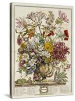 Hand Colored Engraving of Bouquet- October, 1730-Robert Furber-Stretched Canvas