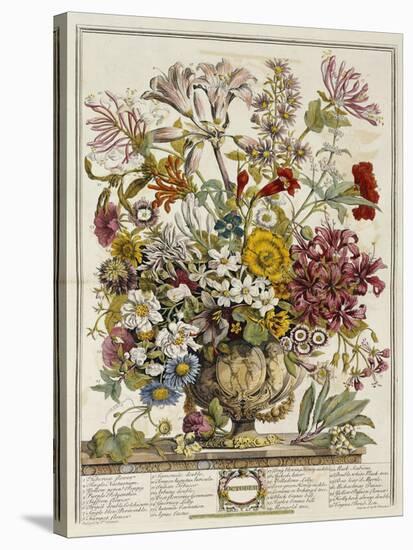 Hand Colored Engraving of Bouquet- October, 1730-Robert Furber-Stretched Canvas