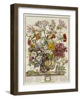 Hand Colored Engraving of Bouquet- October, 1730-Robert Furber-Framed Giclee Print