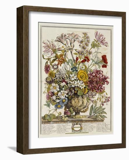 Hand Colored Engraving of Bouquet- October, 1730-Robert Furber-Framed Giclee Print