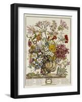 Hand Colored Engraving of Bouquet- October, 1730-Robert Furber-Framed Giclee Print