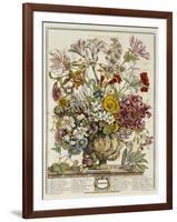 Hand Colored Engraving of Bouquet- October, 1730-Robert Furber-Framed Giclee Print