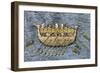 Hand Colored Woodcut of a 19th Century Illustration-null-Framed Giclee Print
