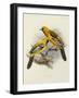 Hand-Coloured Lithograph from "Fauna, Flora and Archaeology of Central America"-J. G. Keulemans-Framed Giclee Print