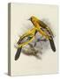 Hand-Coloured Lithograph from "Fauna, Flora and Archaeology of Central America"-J. G. Keulemans-Stretched Canvas