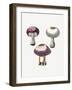 Hand Darwn Violet Webcap Mushroom-Biodiversity Heritage Library-Framed Giclee Print