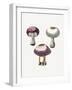 Hand Darwn Violet Webcap Mushroom-Biodiversity Heritage Library-Framed Giclee Print