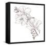 Hand Drawing Hibiscus Flower-Acnaleksy-Framed Stretched Canvas