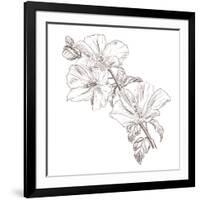 Hand Drawing Hibiscus Flower-Acnaleksy-Framed Art Print