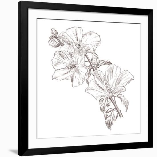 Hand Drawing Hibiscus Flower-Acnaleksy-Framed Art Print