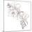 Hand Drawing Hibiscus Flower-Acnaleksy-Mounted Art Print