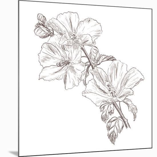 Hand Drawing Hibiscus Flower-Acnaleksy-Mounted Art Print