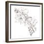 Hand Drawing Hibiscus Flower-Acnaleksy-Framed Premium Giclee Print