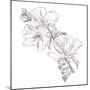 Hand Drawing Hibiscus Flower-Acnaleksy-Mounted Premium Giclee Print