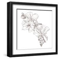 Hand Drawing Hibiscus Flower-Acnaleksy-Framed Art Print