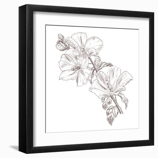 Hand Drawing Hibiscus Flower-Acnaleksy-Framed Art Print