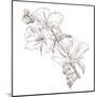 Hand Drawing Hibiscus Flower-Acnaleksy-Mounted Art Print