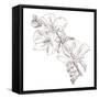 Hand Drawing Hibiscus Flower-Acnaleksy-Framed Stretched Canvas