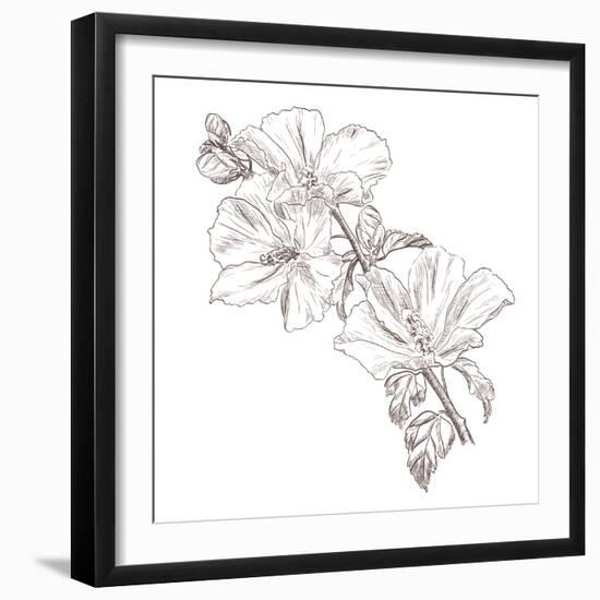 Hand Drawing Hibiscus Flower-Acnaleksy-Framed Art Print