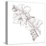 Hand Drawing Hibiscus Flower-Acnaleksy-Stretched Canvas