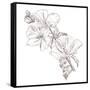 Hand Drawing Hibiscus Flower-Acnaleksy-Framed Stretched Canvas