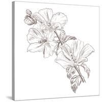 Hand Drawing Hibiscus Flower-Acnaleksy-Stretched Canvas