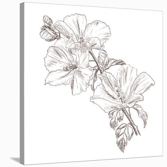 Hand Drawing Hibiscus Flower-Acnaleksy-Stretched Canvas