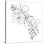 Hand Drawing Hibiscus Flower-Acnaleksy-Stretched Canvas