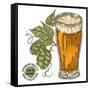 Hand Drawn Beer Glass with Hops Plant. Alcohol Drink Sketch Vector Illustration-Jka-Framed Stretched Canvas