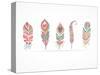 Hand Drawn Bohemian, Tribal, Ethnic Feathers. Colorful Set-Marish-Stretched Canvas