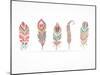 Hand Drawn Bohemian, Tribal, Ethnic Feathers. Colorful Set-Marish-Mounted Art Print