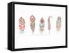 Hand Drawn Bohemian, Tribal, Ethnic Feathers. Colorful Set-Marish-Framed Stretched Canvas