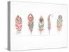 Hand Drawn Bohemian, Tribal, Ethnic Feathers. Colorful Set-Marish-Stretched Canvas