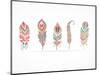 Hand Drawn Bohemian, Tribal, Ethnic Feathers. Colorful Set-Marish-Mounted Art Print