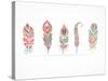 Hand Drawn Bohemian, Tribal, Ethnic Feathers. Colorful Set-Marish-Stretched Canvas