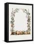 Hand Drawn Botanical Frame-Biodiversity Heritage Library-Framed Stretched Canvas