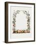 Hand Drawn Botanical Frame-Biodiversity Heritage Library-Framed Giclee Print