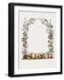 Hand Drawn Botanical Frame-Biodiversity Heritage Library-Framed Giclee Print