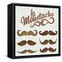 Hand Drawn Brown Mustache Set-Melindula-Framed Stretched Canvas