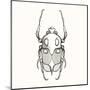 Hand Drawn Engraving Sketch Scarab Beetle, May Bug, European Diving Beetle. Vector Illustration For-panki-Mounted Art Print