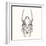 Hand Drawn Engraving Sketch Scarab Beetle, May Bug, European Diving Beetle. Vector Illustration For-panki-Framed Art Print