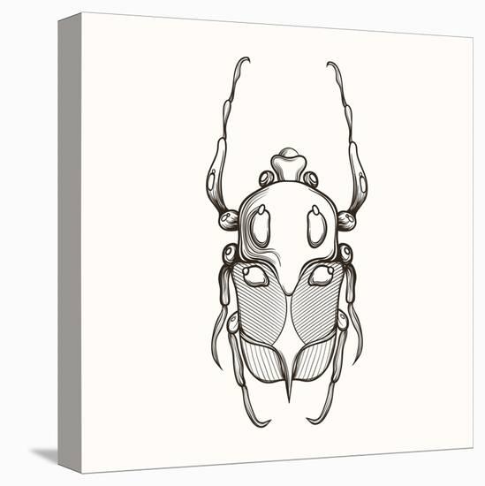 Hand Drawn Engraving Sketch Scarab Beetle, May Bug, European Diving Beetle. Vector Illustration For-panki-Stretched Canvas