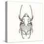 Hand Drawn Engraving Sketch Scarab Beetle, May Bug, European Diving Beetle. Vector Illustration For-panki-Stretched Canvas